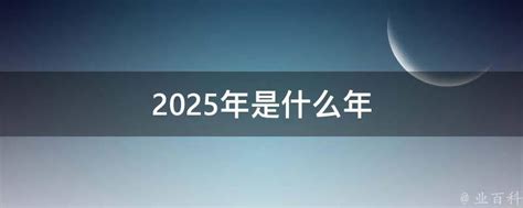 2025 是什么年